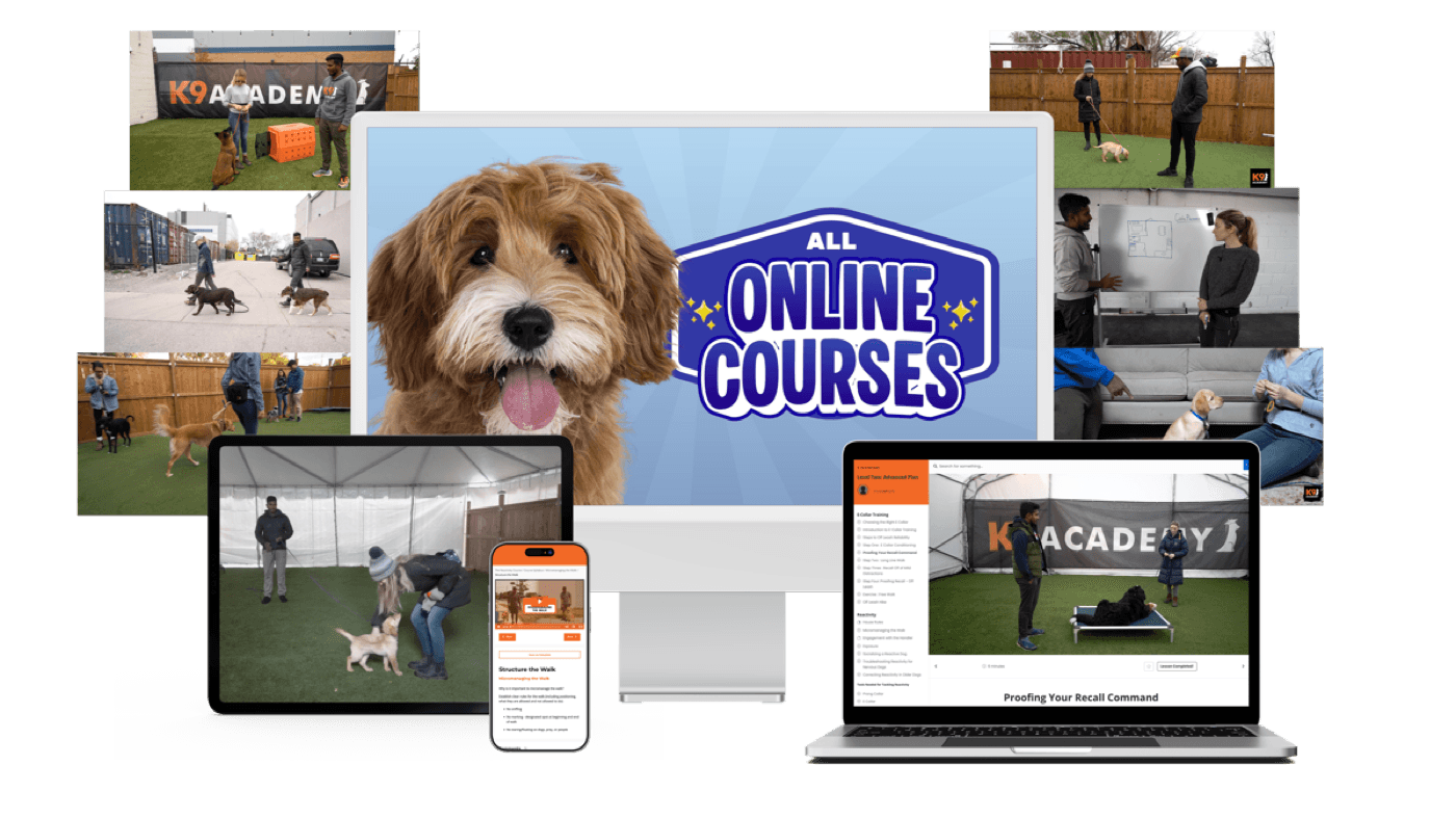 K9 Academy online courses shown on desktop, laptop, tablet and phone, with real training footage